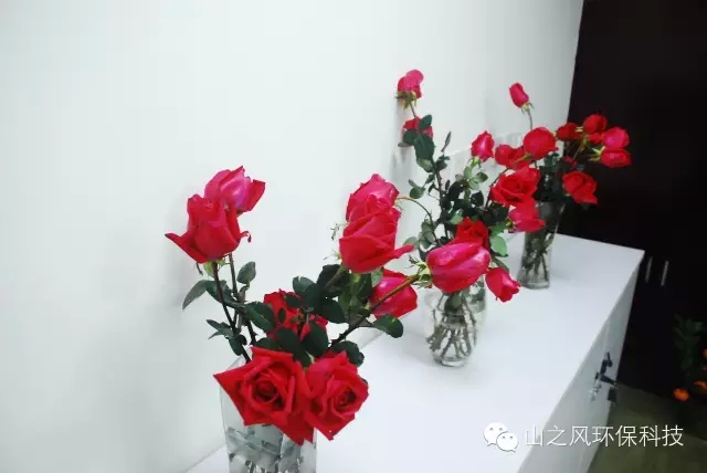 真人网络娱乐游戏平台