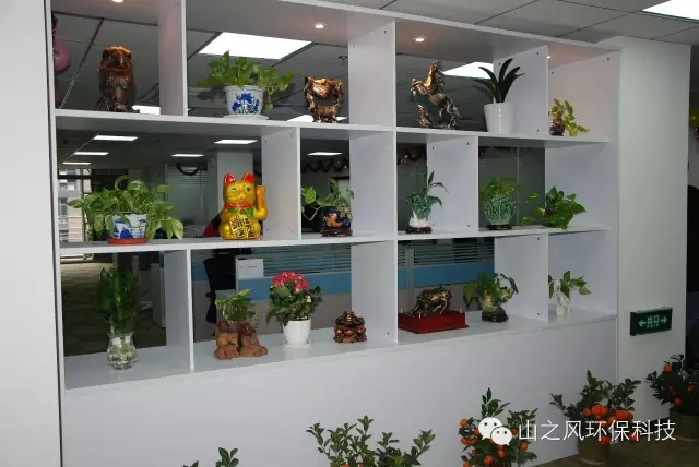 真人网络娱乐游戏平台