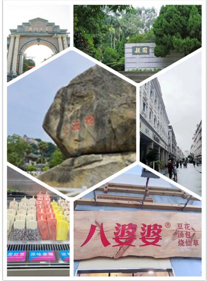 真人网络娱乐游戏平台